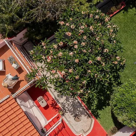 Casa Frangipani By An Island